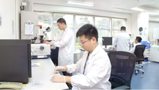 【黨建引領(lǐng)】凝心聚力沖刺收官，風(fēng)華高科以高質(zhì)量黨建引領(lǐng)高質(zhì)量發(fā)展